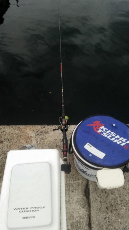 くろねこ流紀州釣りに挑戦！！